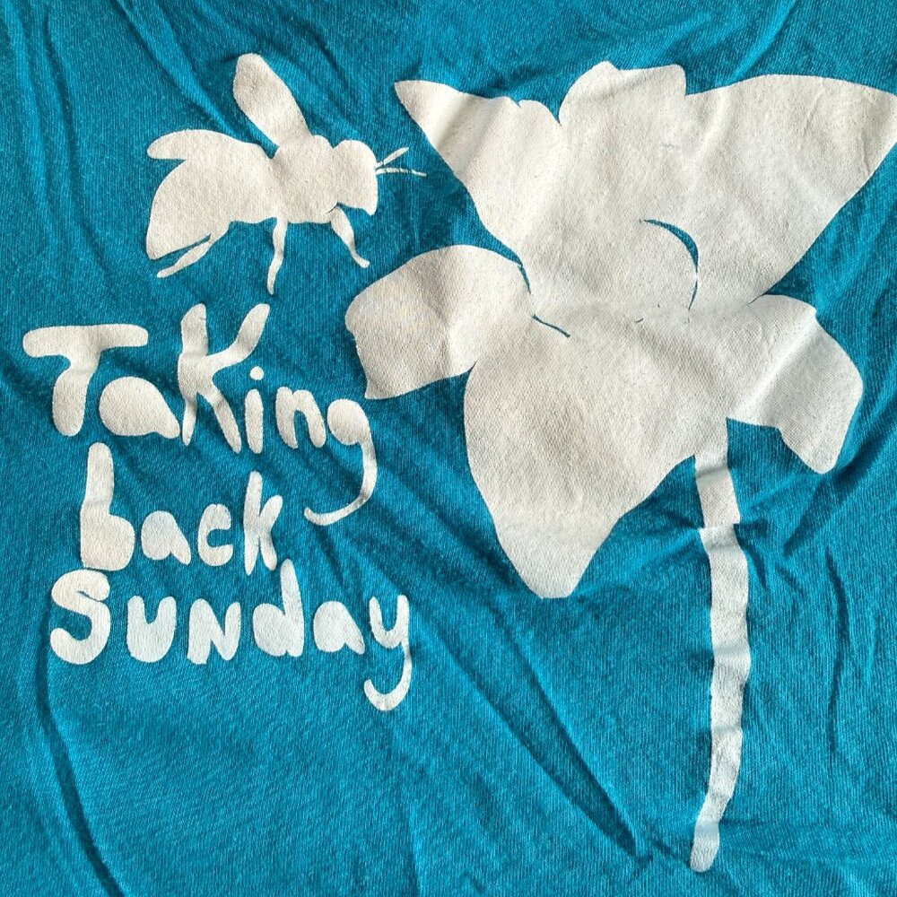 Taking Back Sunday Vintage y2K band tee